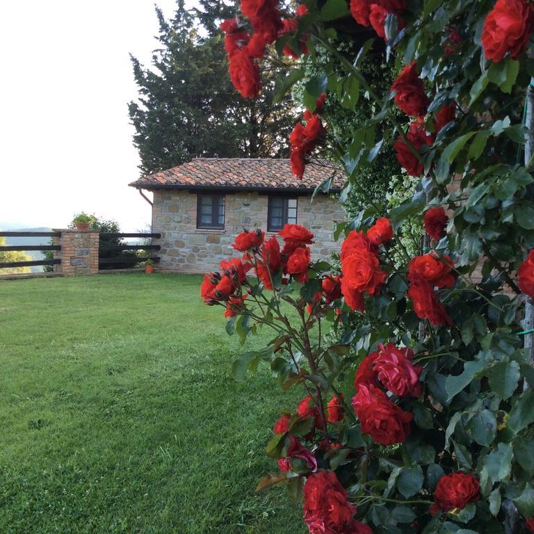 Agriturismo La Bicocca - Apt. "Il Leccio" Castel Rigone Værelse billede